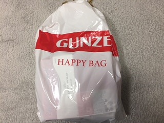 GUNZE�i�O���[�j2023�N���ܗ\��J�����_�[