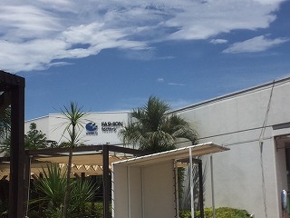 ���[���h�I�����C���X�g�A2023�N���ܗ\��J�����_�[