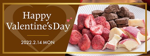 セゾンファクトリー2023年福袋予約カレンダー7月29日夏の福袋